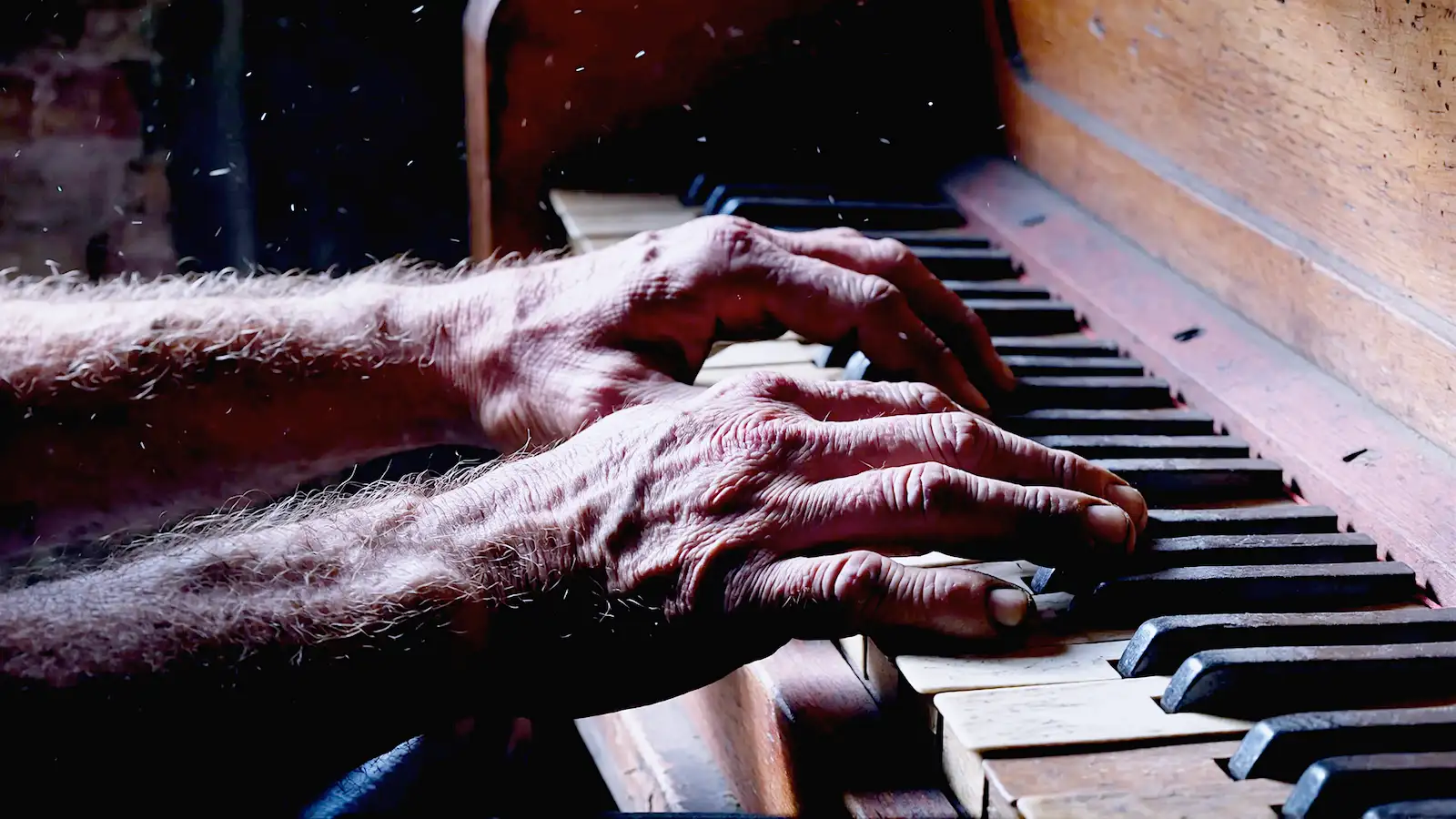 A hyper-realistic, cinematic close-up shot of a pair of weathered, working-class hands resting on the keys of an 18th-century harpsichord. The lighting is natural but moody, streaming in from a side window, reminiscent of a Vermeer painting but with the grit of Kodak Portra 400 film grain. Dust motes dance in the light beam. There are no wigs, no powder, no gold trim—just the raw wood of the instrument and the calloused hands of a craftsman. Deep shadows, high contrast. The focus is on the tension in the fingers, ready to strike a chord.